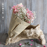 爱满（AIMAN） 鲜花真花天然满天星花束真花客厅家居装饰店面摆设小清新风花束 粉白满天星 含报纸+丝带