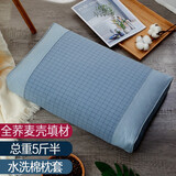 上梵全荞麦枕头荞麦皮枕芯保健枕头芯全棉纯棉颈椎枕头睡眠纯荞麦壳 极光蓝
