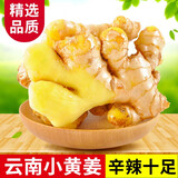 言片光云南小黄姜 生姜 新鲜现挖老姜月子姜生鲜火锅食材 净重0.5斤【有坏包赔】 【品质小黄姜】原产地直发