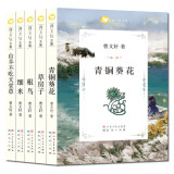 曹文轩文集 （全5册，草房子、青铜葵花作者国际安徒生奖得主曹文轩作品，8-14岁适读，全套获奖作品。） 课外阅读 暑期阅读 课外书