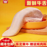 伊道元气牛 永远元气满满 牛舌整条2kg生鲜烤肉牛舌头牛肉牛内脏牛口条烧烤火锅食材