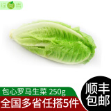 绿食者 包心罗马生菜250g 罗纹生菜凯撒沙拉蔬菜西餐沙拉食材 250g