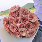 芊芊细语斗南基地直批发玫瑰鲜花全国速递配送女友礼物家用水养插花家庭 卡布奇诺玫瑰18支+2支防损