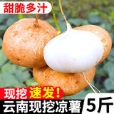 中鲜生 云南新鲜凉薯地瓜农家土瓜新鲜水果生吃 5斤装 大果