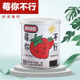 花e流创意diy绿植小盆栽神奇植物室内迷你桌面儿童种植罐头儿童节礼物 草莓 一罐