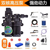 车玄友洗车机洗车器家用高压车载电动便携自动12v洗车机刷车器机水枪泵 120W 双泵豪华版+转换器+水桶