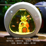 月光水母水母入门套装海水宠物迷你鱼缸赤月海月观赏桌面网红水母缸第5代 4L小丑鱼套装(2只)