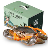 【活鲜】嗨码头三门青蟹特大公蟹菜鲟 红母膏蟹肉蟹猷蠓海鲜礼盒 2斤 礼盒装 肉蟹3-5只（公母随机）