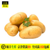 禾人 土豆火锅食材 马铃薯洋芋新鲜蔬菜 500g
