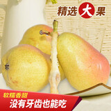 农大姐妹太婆梨 软梨 山东烟台正宗太婆梨 新鲜水果香蕉梨 啤梨 5斤