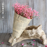 爱满（AIMAN） 鲜花真花天然满天星花束真花客厅家居装饰店面摆设小清新风花束 粉色满天星 含报纸+丝带