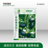 中科茂华蔬菜种子欧米甜中科靓绿板栗南瓜种子高圆绿栗新西兰南瓜甘面粉糯 中科黑贝贝50粒/袋