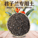 申之北营养土通用型腐殖土有机土绿植土壤花土种菜土种花土种植土 9斤君子兰专用土