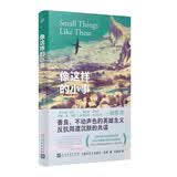 像这样的小事（《南极》《走在蓝色田野上》作者全新力作，入围2022年布克奖短名单）人民文学出版社 小说