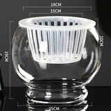 润蕾 水培植物玻璃瓶水养绿萝花瓶花盆大号透明玻璃圆球鱼缸器皿容器 25D圆球 加深水培篮 中等