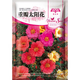 花友秀 重瓣太阳花种子花卉盆栽四季易活花种子室内阳台花卉盆栽花种 重瓣太阳花种子混色 2克约2万粒