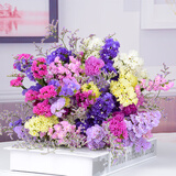 爱满（AIMAN）鲜花真花云南干花花束勿忘我真花家居摆设插花简约混搭满天星干花 六色勿忘我+情人草 30支 干花包