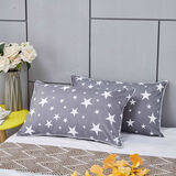 潮寝枕头宿舍学生可拆洗枕芯双人单位工地一个装单人可爱枕头芯 漫天星星一只装【枕芯+枕套】