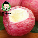 馋半仙庆阳红富士苹果5斤 冰糖心苹果 新鲜水果 时令应季水果 整箱5斤装
