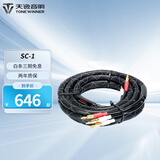 天逸（Winner）SC-1银环蛇音箱线发烧音响线材无源HIFI音箱连接功放高保真喇叭线 编制黑色