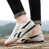 费耐弗（feinaifu）帆布鞋休闲鞋男鞋新品时尚阿甘鞋男韩版情侣鞋运动鞋学生鞋子男 02米兰（此款标准码） 41