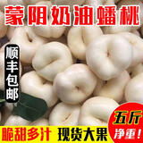 搜鲜匠（SOUXIANJIANG）新鲜水果蟠桃沂蒙山白蟠桃甜脆稀有蜜桃子黄扁桃1/3/5斤现摘现发 奶油白蟠桃3斤