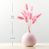 美学黑客 干花花束莫兰迪花瓶北欧干花装饰桌子摆件清新插花卧室森系干花 兔尾草含瓶