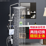家韵（jiayun） 明装花洒套装增压蓬头浴室家用全铜龙头卫生间淋浴雨喷头 明装两档方形套装【10英寸】