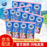 子母（DUTCH LADY）越南进口子母奶 原味草莓酸奶味牛奶110ML纯牧纯牛奶盒装营养饮料 【草莓味170m*4排】16支
