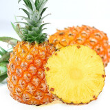 张小壮菠萝 徐闻香水小菠萝 菠萝 新鲜水果 带皮菠萝4.5-5斤