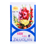 紫罗兰 沉香粉50g老北京国货袋装控油定妆遮瑕散粉香蜜粉轻薄清透裸妆 1袋装