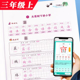 练字帖小学生（人教版配套）儿童钢笔生字词字帖 小学语文一二三四五六年级上册写字课课练1-6年级上语文默写随堂练字基础知识硬笔字帖小脚鸭 生字练字帖（三年级上）