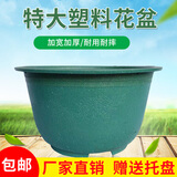 塑料花盆特大庭院种植铁树盆景大花盆大码加厚烤漆龙缸盆清仓 特价款无托盘380#外径38cm1个价格，两个起发 加厚加硬特大款