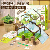 YIER迷你种植阳光房儿童玩具小学生科学实验套装手工diy植物六一礼物 阳光种植房-基础款【3款种子】