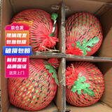 京营觅选麒麟西瓜 现摘新鲜美都西瓜【JD顺丰-送货上门】头茬冰糖西瓜 两个装 【总重8-10斤】防摔包装