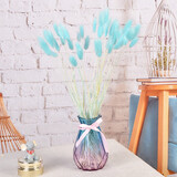 爱满（AIMAN）满天星天然干花花束ins网红生日 新房装饰摆件风干真插花家居摆设 蓝色兔尾草  【带M款花瓶】