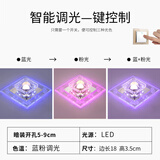 胜森走廊灯过道灯客厅造型灯玄关洞灯创意筒灯门厅入户筒灯嵌入式孔灯 18厘米三档调光蓝光+粉光 暗装天花需要开孔5-9厘米