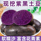 农大姐妹黑土豆 乌江芋 新鲜蔬菜紫色土豆马铃薯 2025年滕州黑金刚洋芋 （净重）5斤