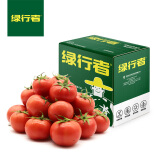 绿行者（GREER）小粉番茄5斤 源头直发水果沙瓤生吃西红柿新鲜蔬菜轻食酸甜多汁