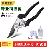 得力（deli）剪枝剪花园剪刀园艺剪刀修枝剪花木剪子园林剪刀园林工具园艺工具 【强力款】8.5英寸修枝剪 DL580203