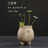 水培容器陶瓷开片陶瓷水培小花盆铜钱草花器小清新容器桌面花盆 CM03-三足净