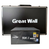 长城（Great Wall）黑匣子台式机电脑全模组电源服务器电源 黑匣子2600W铝盒装（ATX3.0）