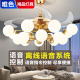 唯色客厅吊扇灯餐厅隐形风扇灯现代简约魔豆多头吊灯带风扇一体灯具 金色16头-48寸强风扇叶 变频遥控