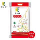 齐兴白圆粒香米5kg  2025年新米