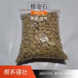劉閣蘭花刘阁兰花名贵兰专用植料专业版兰花土君子兰石斛兰花草植物营养土 植金石2包
