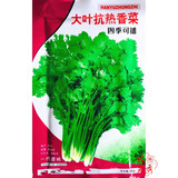 一播大地 香菜籽 芫荽籽 种子蔬菜 阳台菜园种子 盆栽种子 高出芽率 抗热大叶香菜种子原装40g