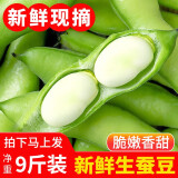 中鲜生云南新鲜蚕豆 现摘生蚕豆 农家自种带壳蚕豆新鲜蔬菜胡豆罗汉豆 9斤装（净重）