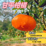 【顺丰】四川眉山甘平柑橘皇后孕妇新鲜水果纯甜小金牛桔子耙耙柑 净重8斤（新鲜带枝叶发货） 精选一级巨无霸（单果350g以上）