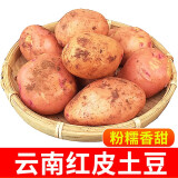 中鲜生 云南红皮黄心小土豆新鲜蔬菜火锅食材 小土豆5斤（鸡蛋大小）
