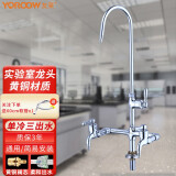 友莱卫浴（Yoroow） 铜体实验室龙头二联三联水龙头化验水咀学校高教龙头净化水龙头